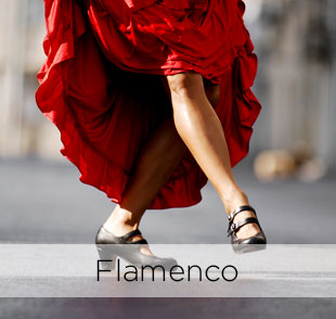 Learn spanish in spain flamenco